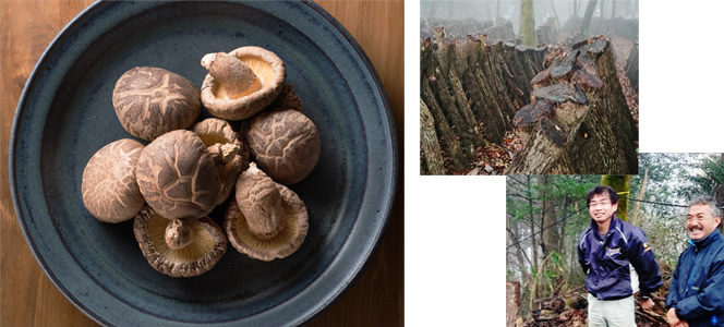 乾物の魅力、本物の味を再発見。驚くほど香り高い、椎葉村の干し椎茸。
