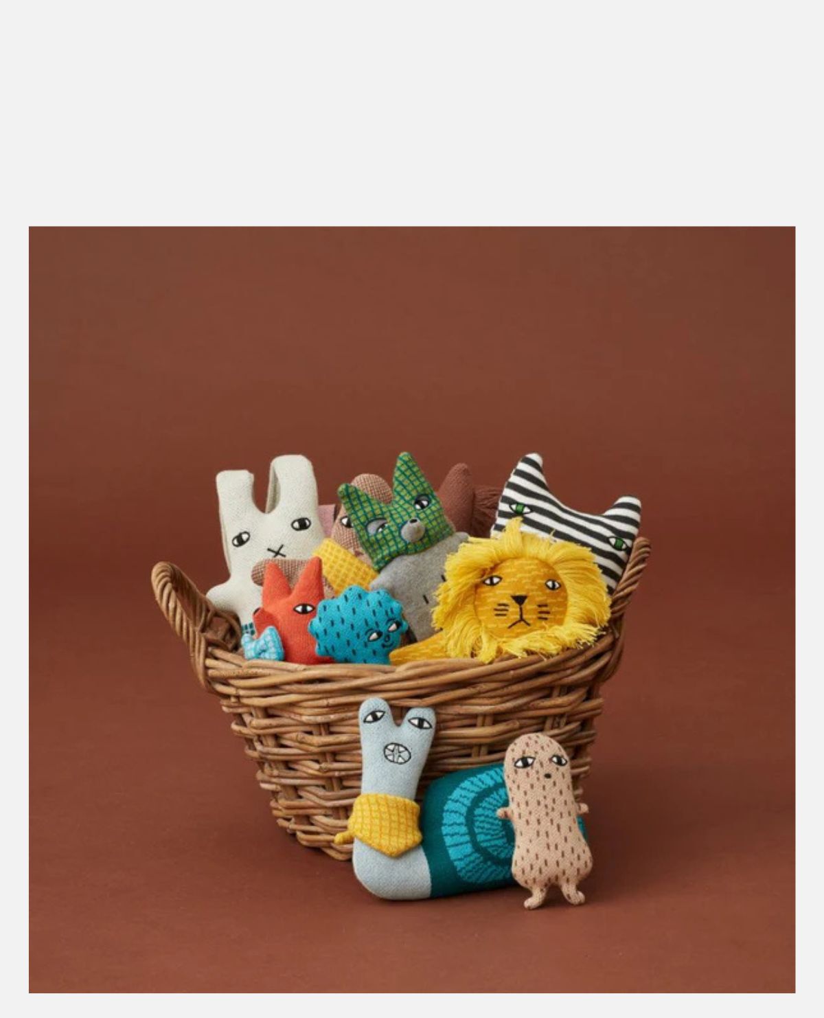 キツネリスのシド(Sid Squirrel Fox キツネリスのシド(Sid Squirrel Fox
