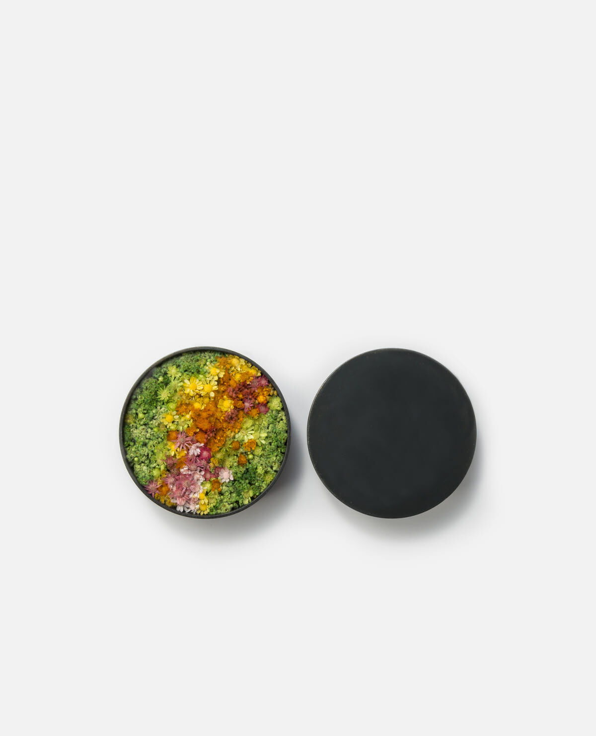 玉手箱　中