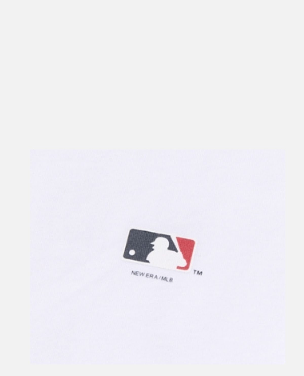 Ｔシャツ　チーム