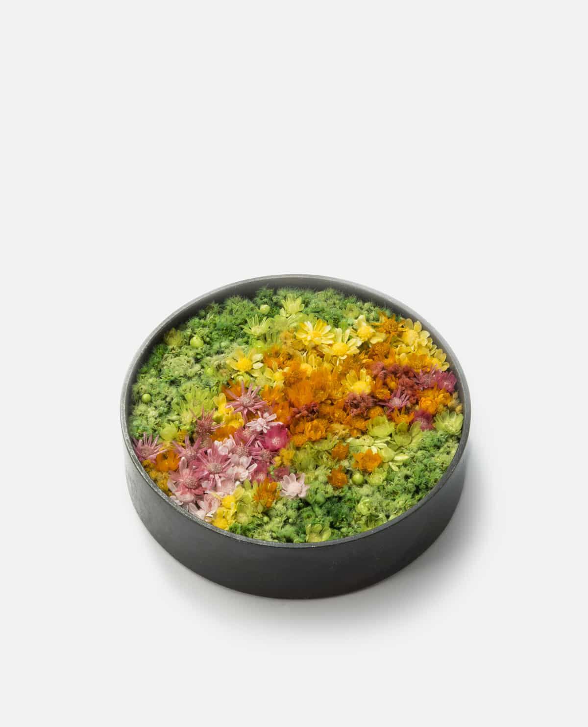 玉手箱　中