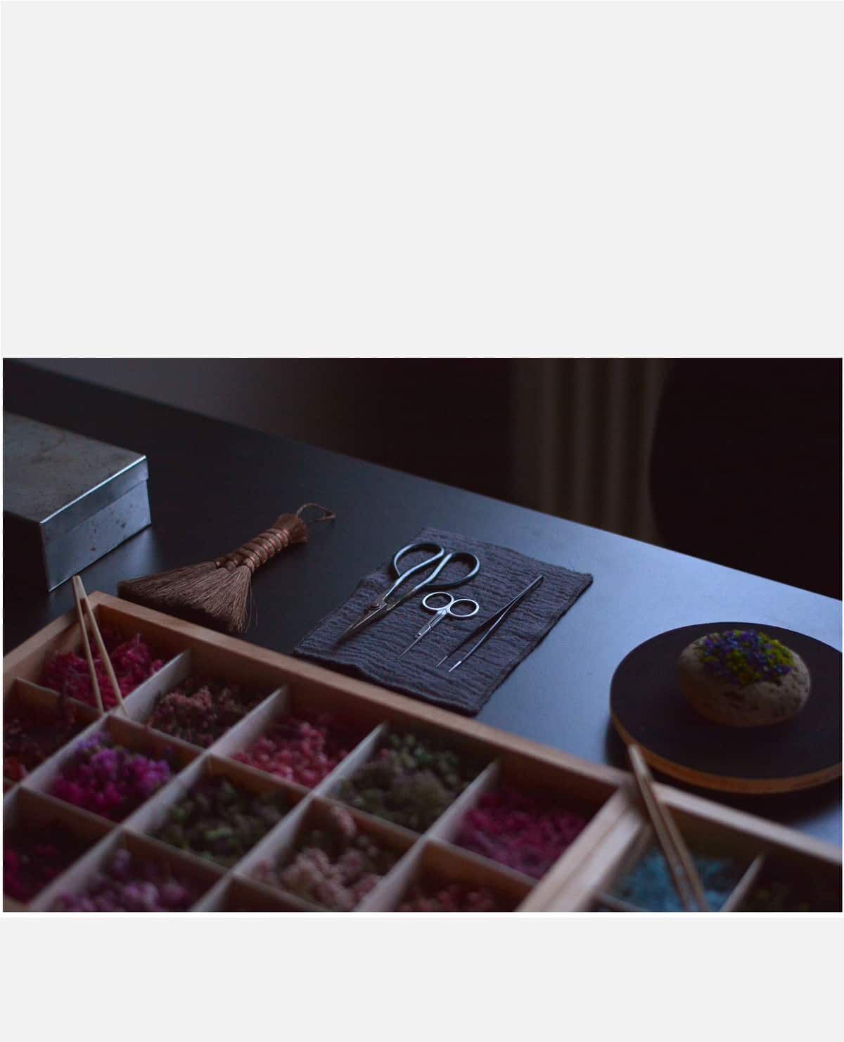 玉手箱　中