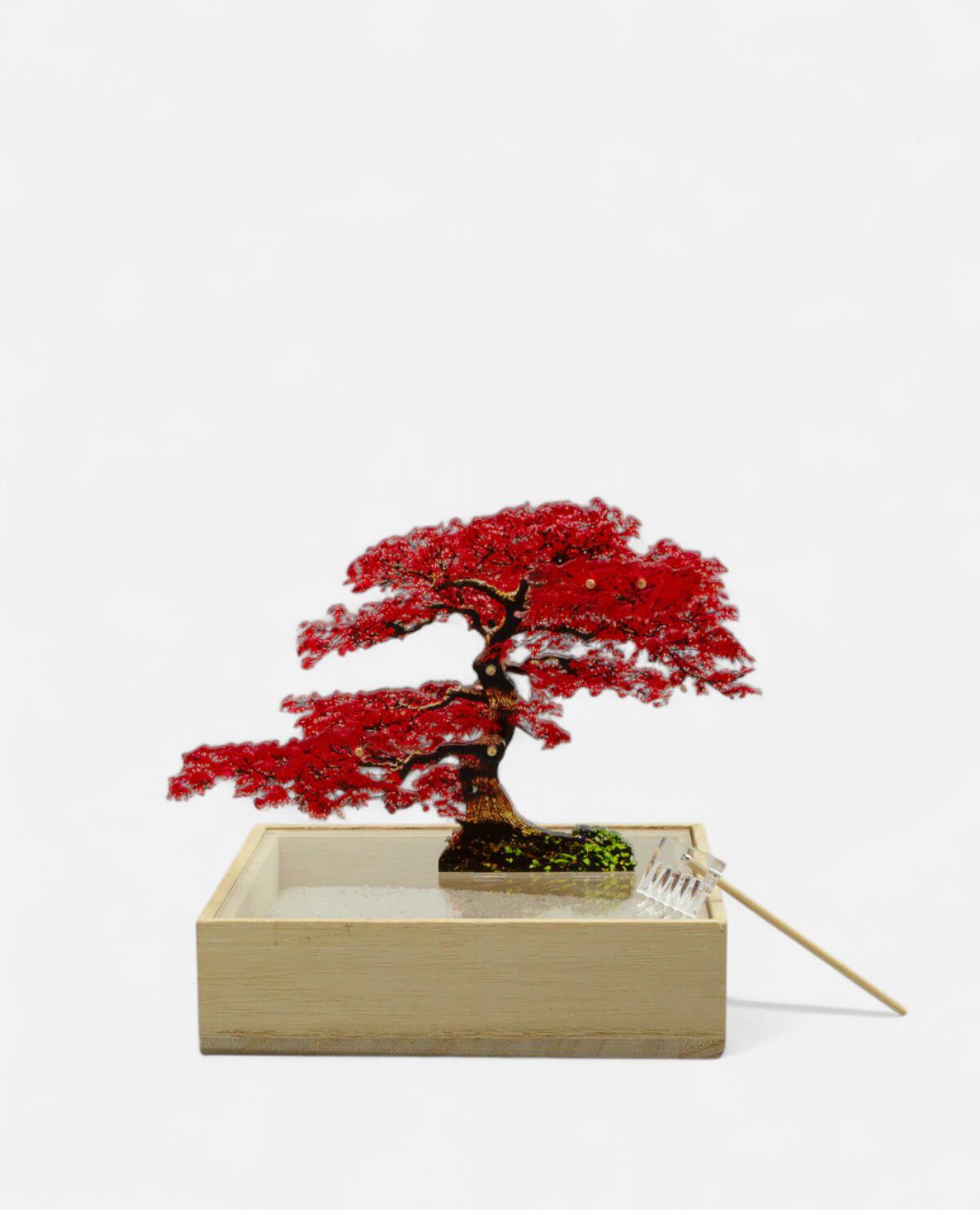 ミニ　盆栽　紅葉　モミジ