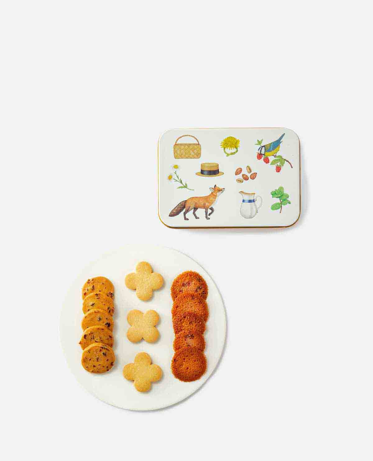 Otley 甘から Sons】 【Thomas ビスケットボックス/クッキージャー Otley 甘から Sons】 【Thomas ビスケットボックス/クッキージャー