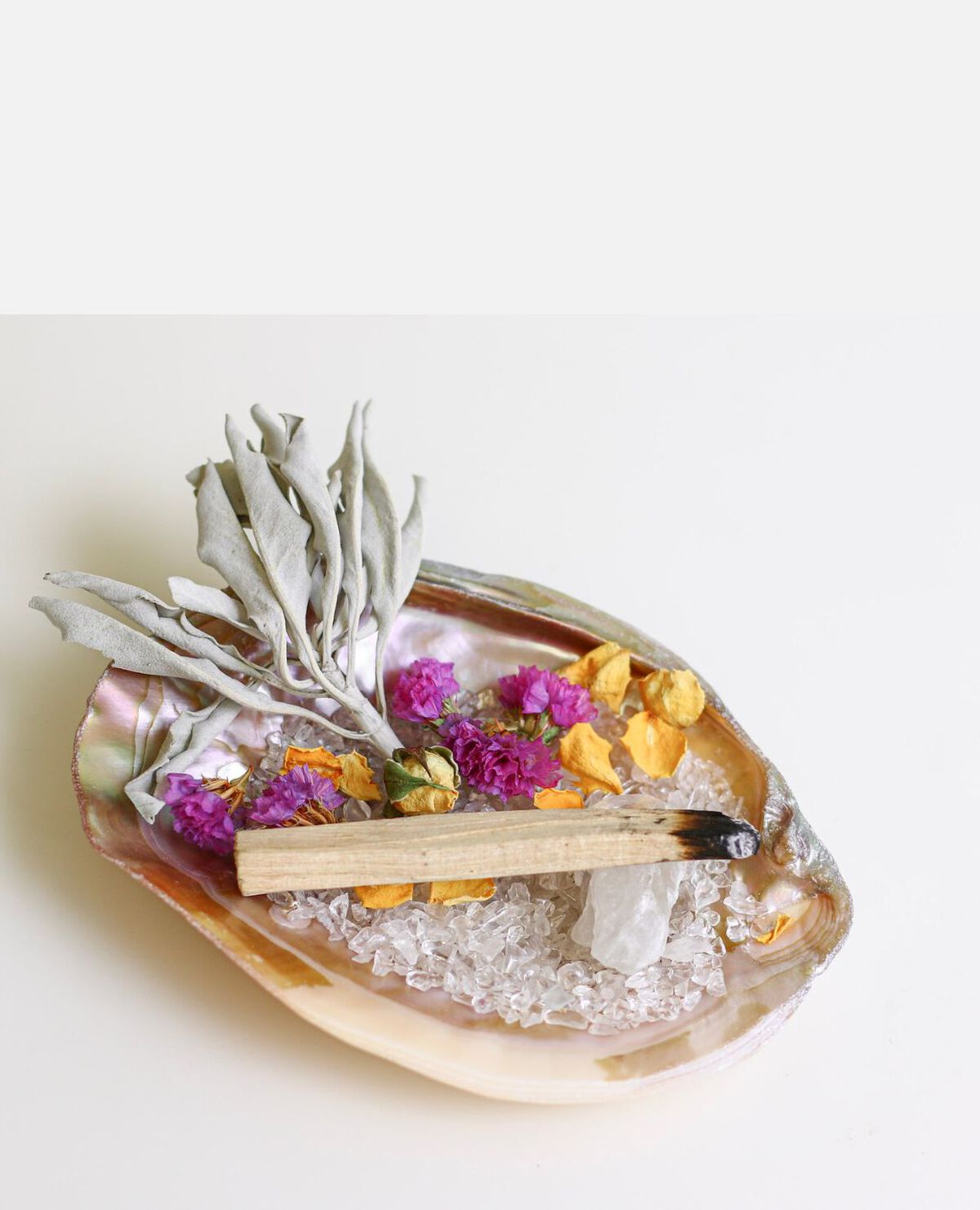 Ｄｅｅｐ　Ｃｌｅａｎｓｅ　Ａｕｒｏｒａ　Ｐｉｎｋ　Ｓｈｅｌｌ　Ｐｌａｔｅ　ｓｅｔ　パロサント