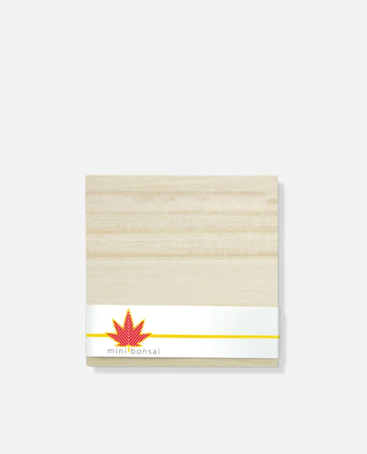 ミニ　盆栽　紅葉　モミジ