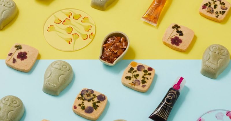 春の手土産におすすめのギフト ギフトコンシェルジュの手土産12選