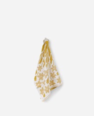 cloudberry