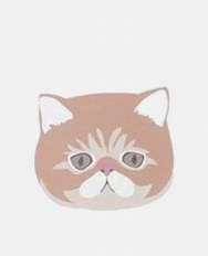エキゾチックショートヘア