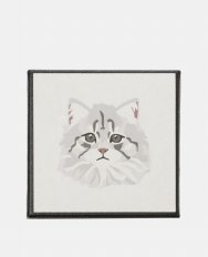 10 Norwegian Forest Cat