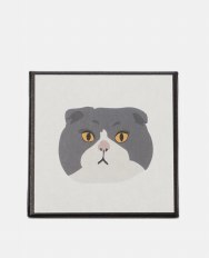 3 Scottish Fold
