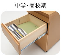 中学・高校期