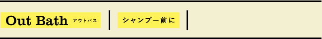 Out Bath アウトバス
シャンプー前に