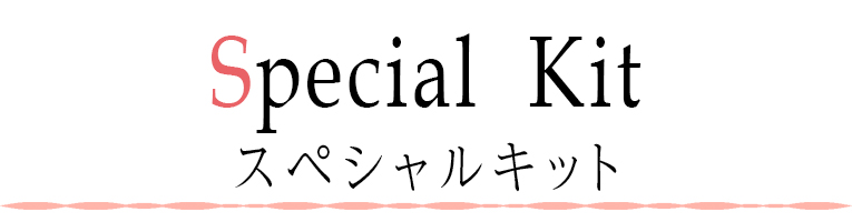 ISETAN×婦人画報 スペシャルキット