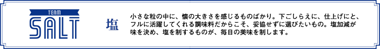TEAM SALT 塩
