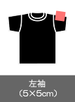 左袖（10×10㎝）