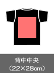 背中中央（32×38㎝）