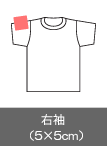 右袖（10×10㎝）