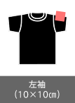 左袖（10×10㎝）