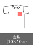左胸（10×10㎝）