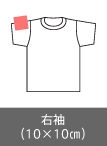 右袖（10×10㎝）
