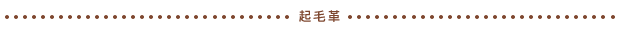 起毛革