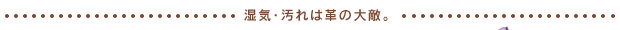 湿気・汚れは革の大敵。