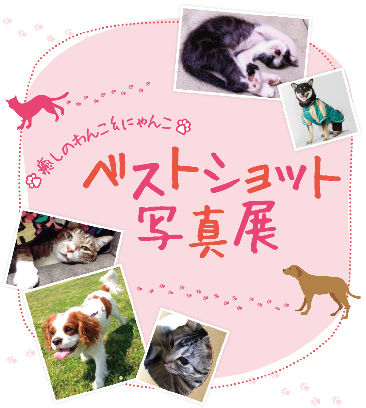 癒しのわんこ&にゃんこ ベストショット写真展